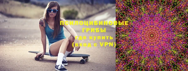 ПСИЛОЦИБИНОВЫЕ ГРИБЫ Баксан
