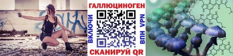 Галлюциногенные грибы Psilocybe  купить наркотики сайты  Новозыбков 